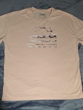 Express Men's Pale Pink Graphic Crew Tee with Foil Beach Design